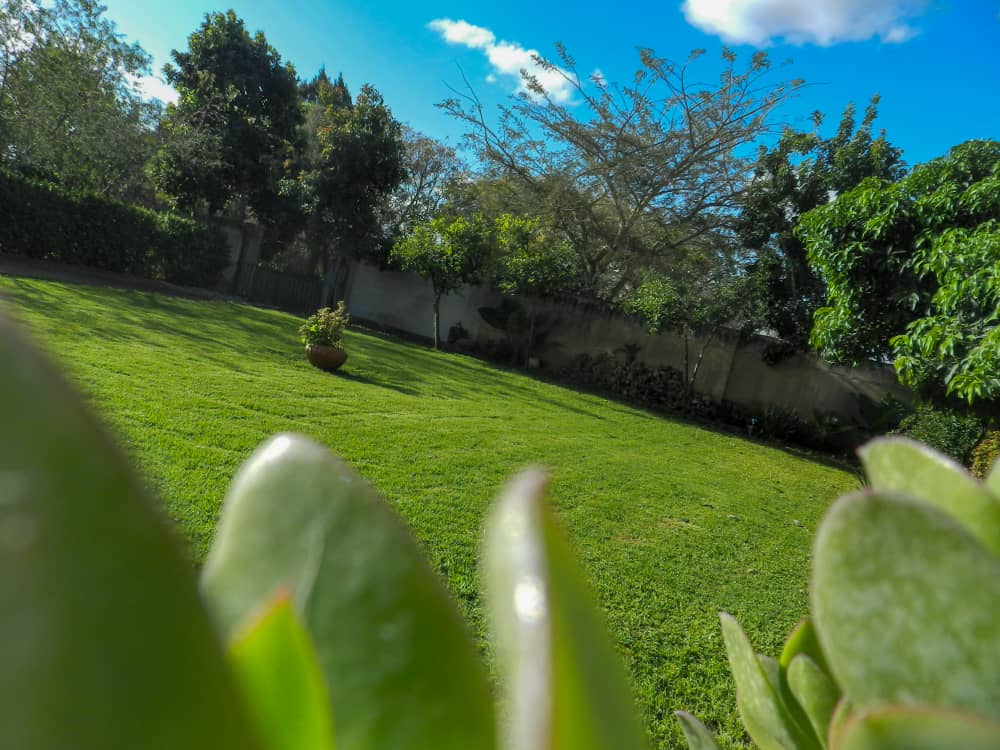 New Life Gardens